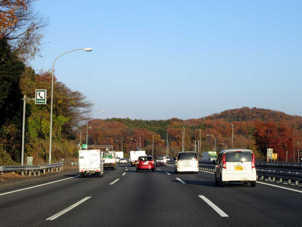 関越自動車道。紅葉が素晴らしい。